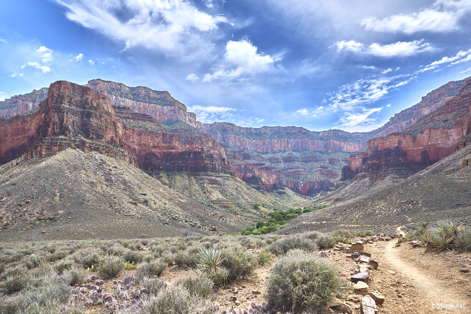 A view up the canyon towards Indian Garden Campground